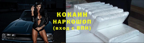 прущие грибы Покров