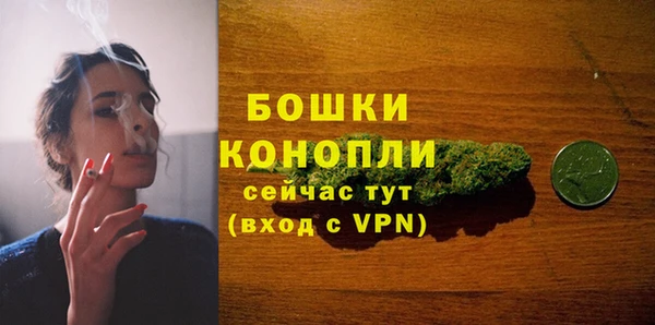 эйфоретик Бородино