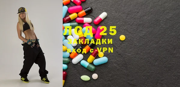 эйфоретик Бородино