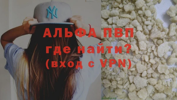 прущие грибы Покров