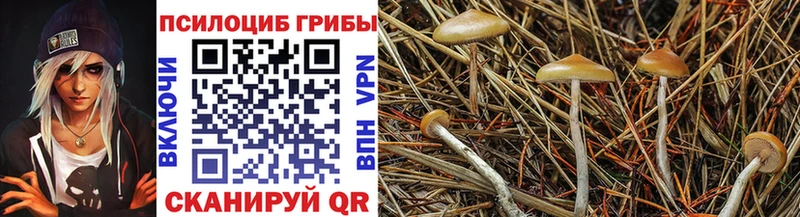 Галлюциногенные грибы GOLDEN TEACHER  Новоуральск 